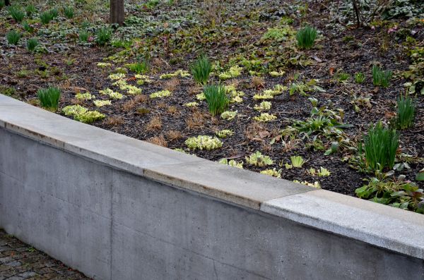 Concrete Wall Construction in Huntington Beach