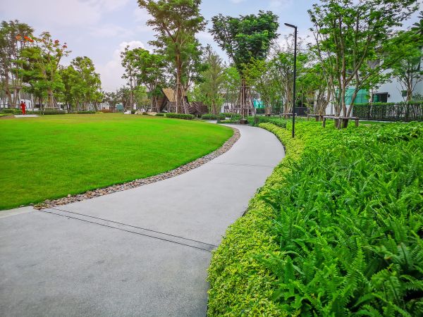 Cement Walkway Service in Huntington Beach